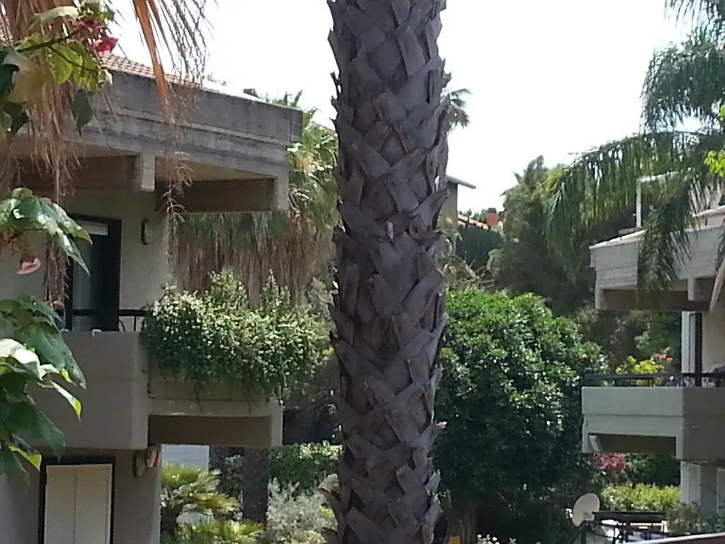 Porto Ulisse Bed and Breakfast Κατάνια 2*,